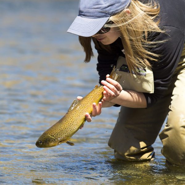 The Lower Provo River Utah with the best Utah fly fishing guide service