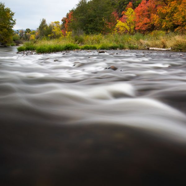 Fall fly fishing on Utah's Provo River
