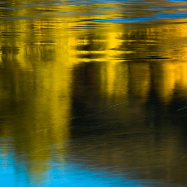 Fall On The Middle Provo River