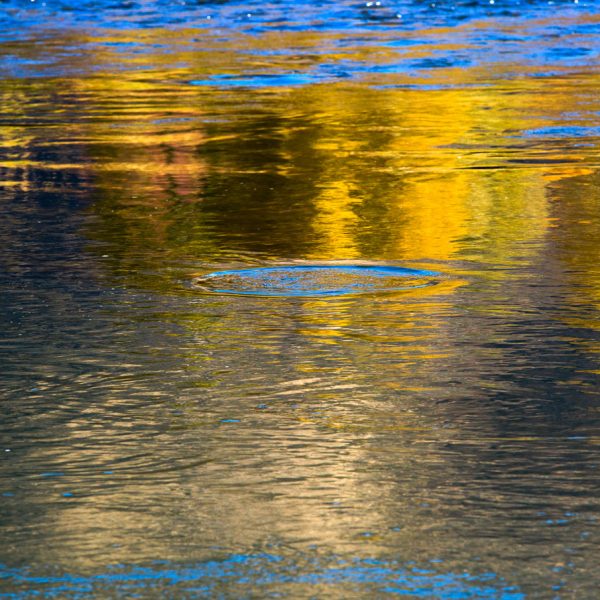 Park City Utah Fly Fishing Fall