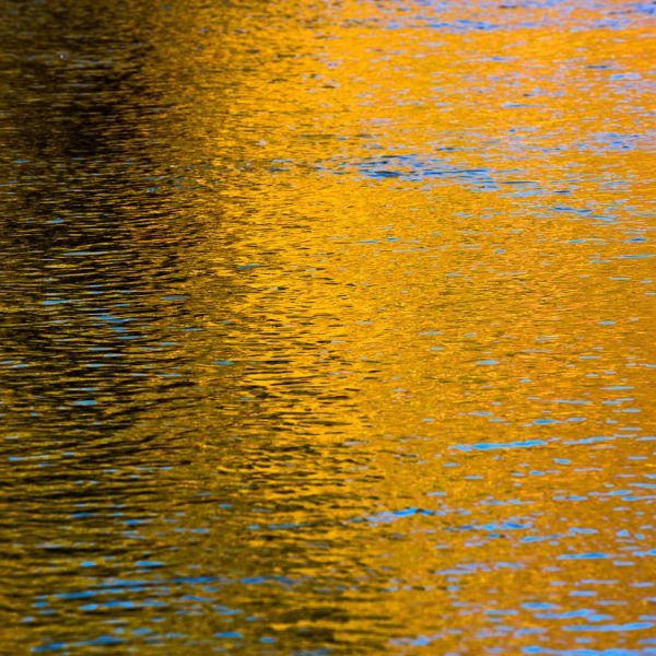 Fall colors reflected off of the Provo River