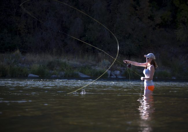 Park City Fly Fishing Report Summer 2020 A woman fly fishing on the Provo River