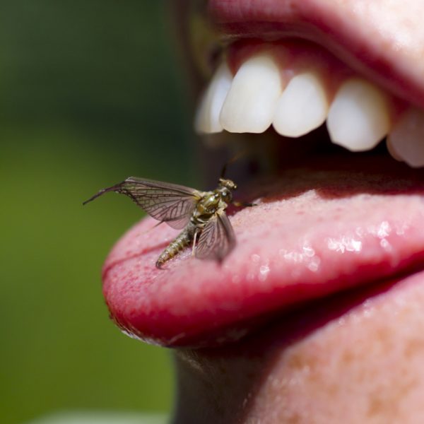 A woman with a green drake on her tongue