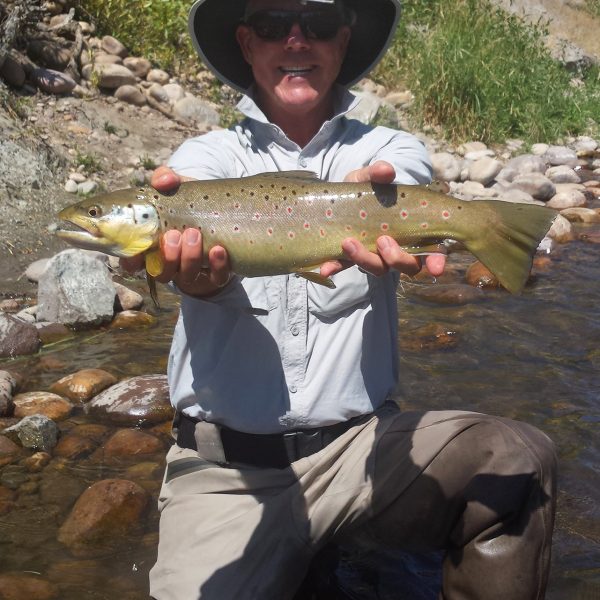 Fly Fishing Utah's Provo River. Jeremy Allan Fly Fishing