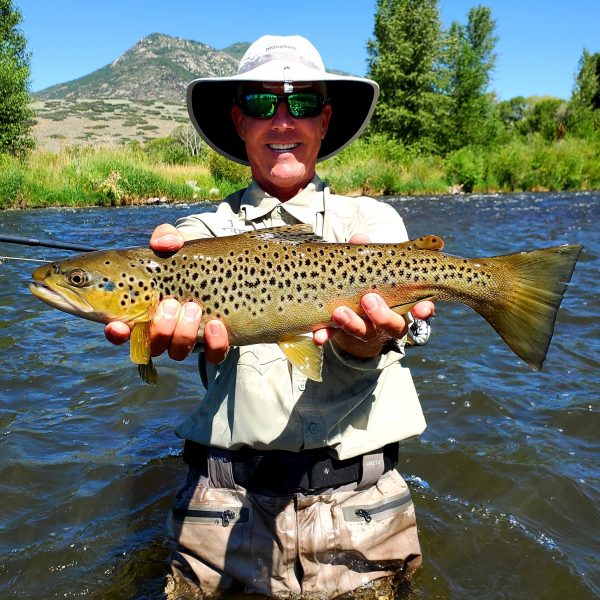 A big brown trout caught on a guided fly fishing trip while fly fishing Utah's Provo River with Jeremy Allan Fly Fishing