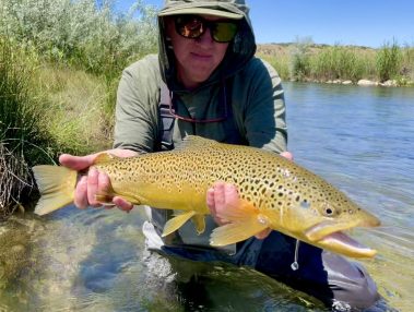 An angler with a big brown trout caught on a dry fly in Utah