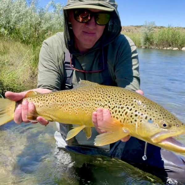 An angler with a big brown trout caught on a dry fly in Utah
