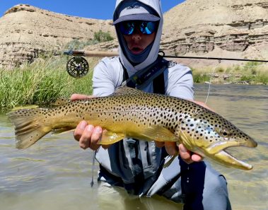 A perfect brown trout caught on a small stream in Utah.