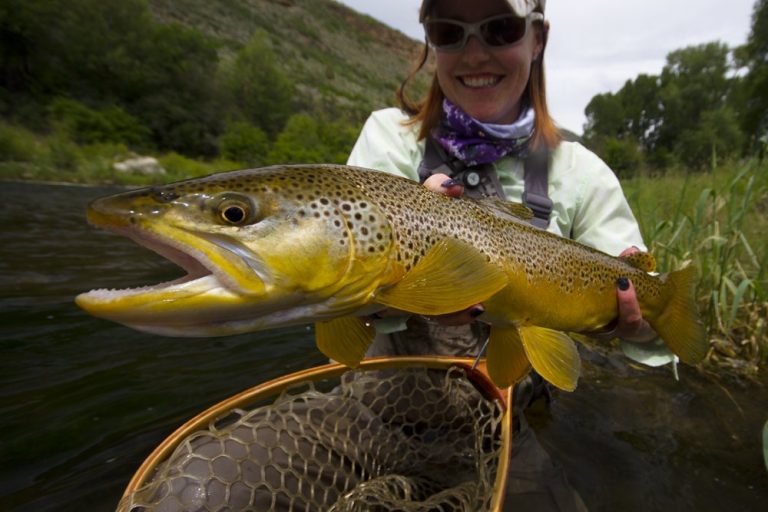 Lady holding a big brown trout caught during a Green Drake hatch.