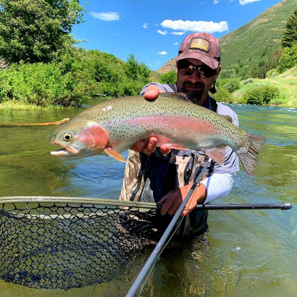 A fly fisherman holding a rainbow trout on the Lower Provo River