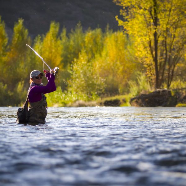 A woman fly fishing on the Provo River during the Fall