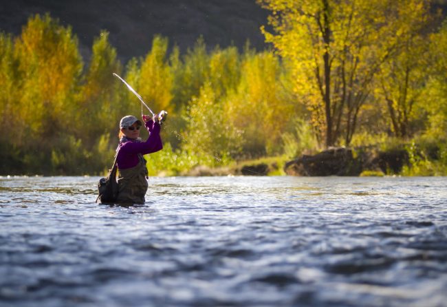 A woman fly fishing on the Provo River during the Fall