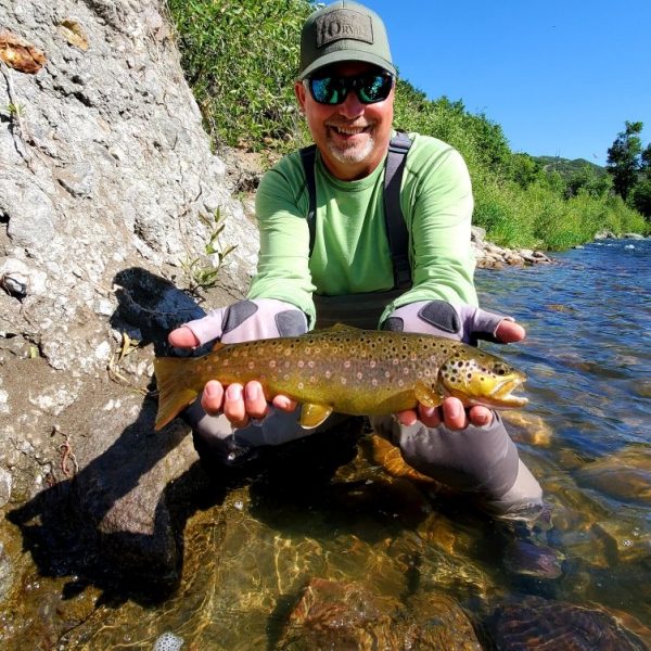 A Jeremy Allan Fly Fishing customer with a big brown trout on the Provo River