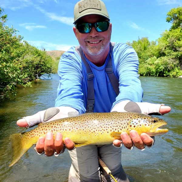 A Jeremy Allan Fly Fishing customer with a big brown trout on the Provo River