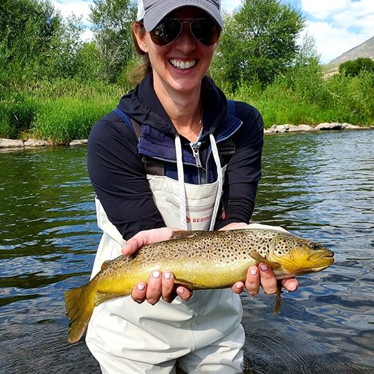 A lady fly fisher with a big brown trout on the Provo River, Utah
