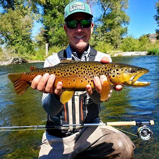 A fly fisherman with a big brown trout on the Weber River