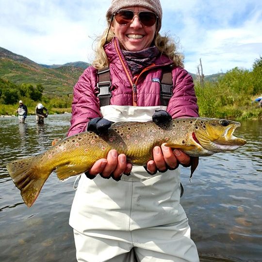A lady fly fisher with a brown trout on the Provo River, Utah
