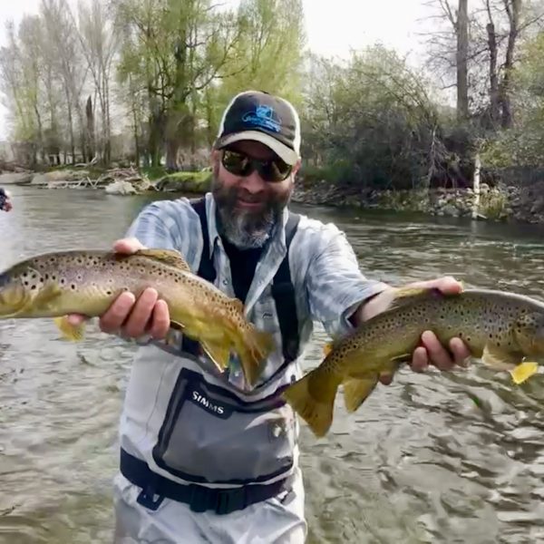 Jeremy Allan holding two nice brown trout caught on the Weber River