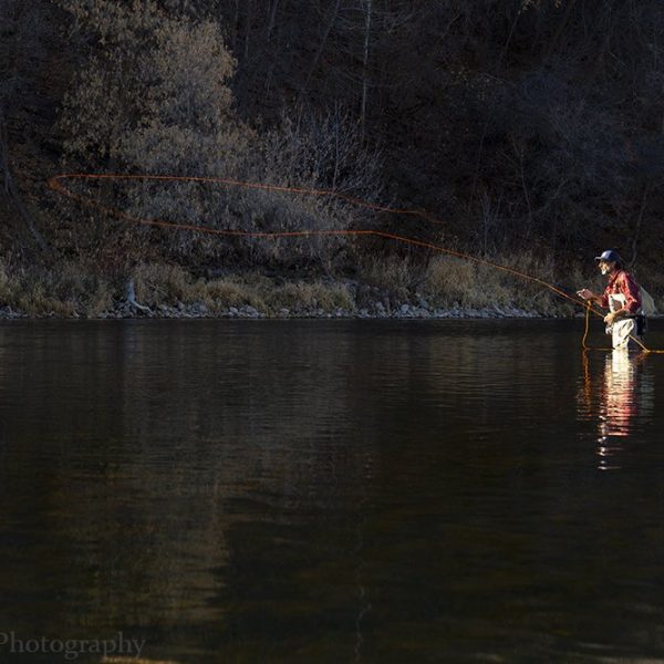 A master fly fisherman making a perfect cast on the Middle Provo River.