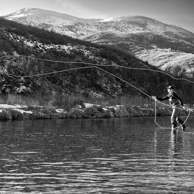 A lady fly fisherman casting on the Provo River in Utah