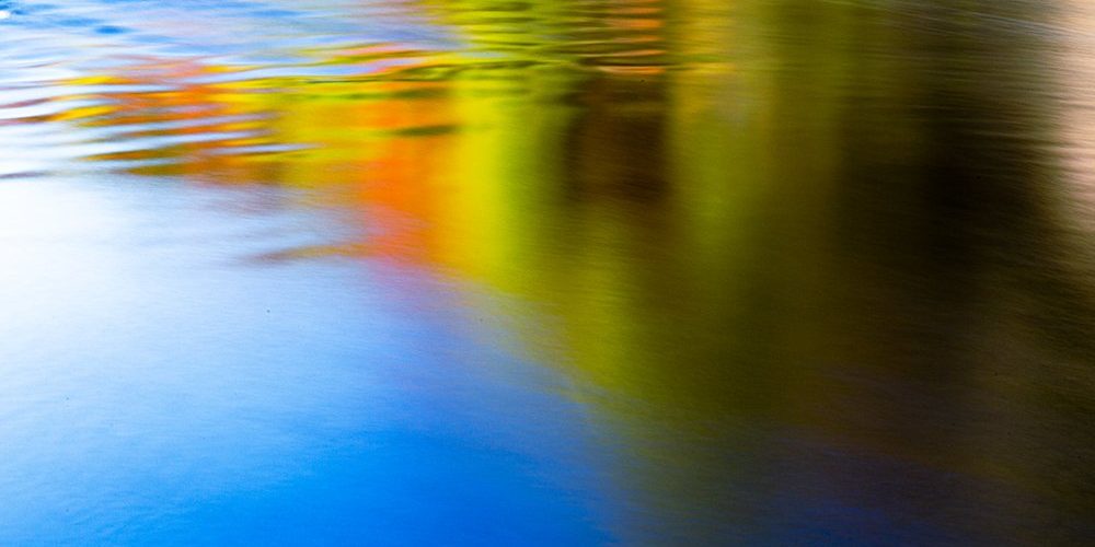 Fall On The Provo Beautiful Fall colors reflecting into the Provo River.