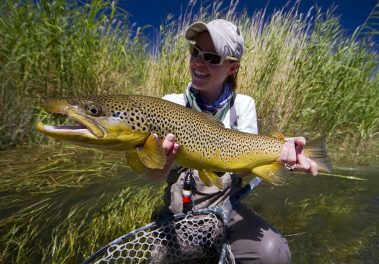 A lady fly fisher with a huge brown trout caught while fly fishing on a Utah Stream.