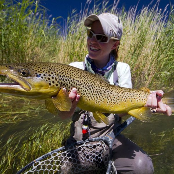 A lady fly fisher with a huge brown trout caught while fly fishing on a Utah Stream.