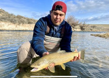 A fly fisherman holding a big brown trout in a Utah stream.