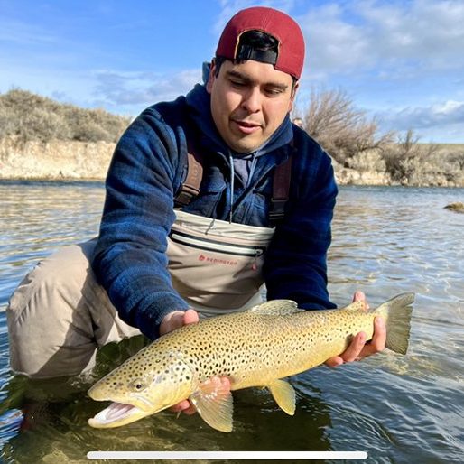 A fly fisherman holding a big brown trout in a Utah stream.