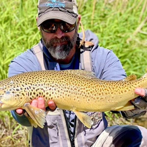 Guide Jeremy Allan with a big brown trout caught on a small stream trip