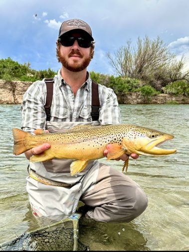 A fly fisherman holding a big brown trout from Utah