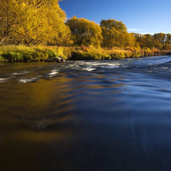 Fall on the Provo River. Long exposure by Jeremy Allan