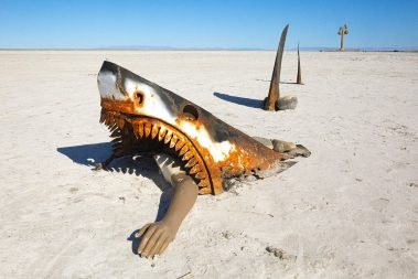 A great white shark on the salt flats in Utah
