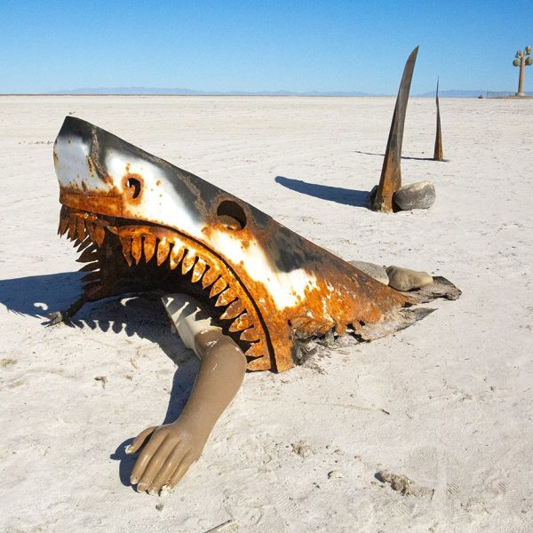 A great white shark on the salt flats in Utah