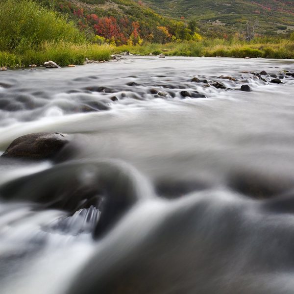 Fall colors on the Provo River by Jeremy Allan