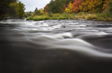 Fall colors on the Provo River by Jeremy Allan