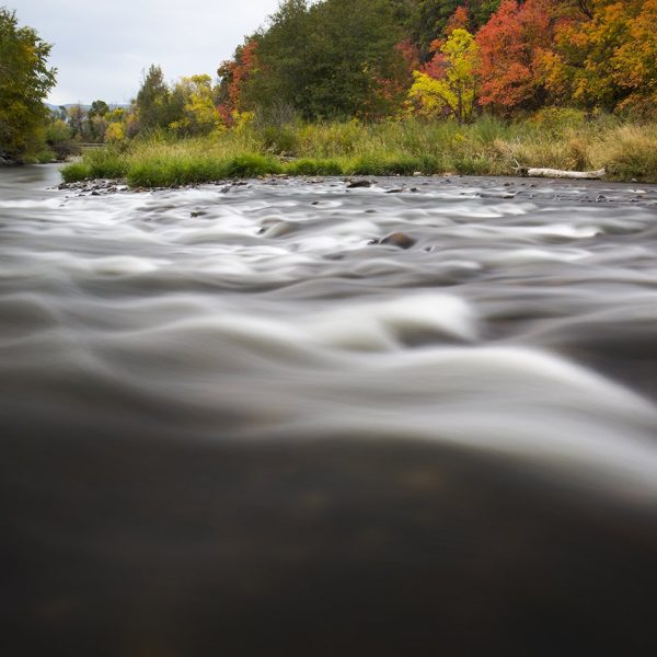 Fall colors on the Provo River by Jeremy Allan