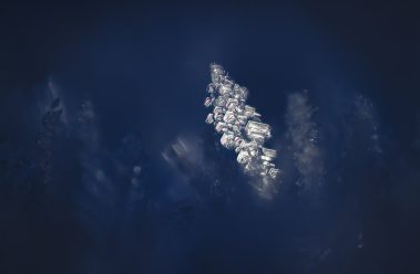 An illuminated snowflake. Fine art prints by Jeremy Allan