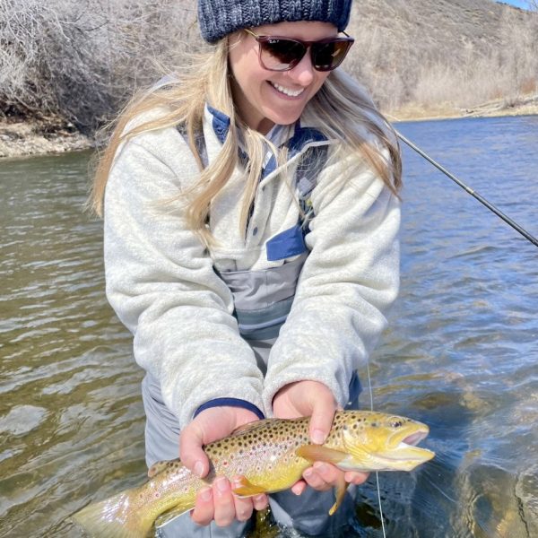A nice brown trout caught on a Spring fly fishing trip on the Provo River near Salt Lake City.