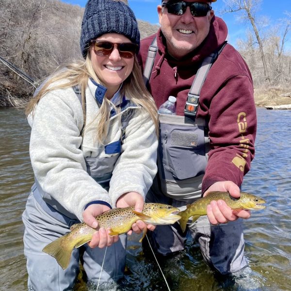 A couple of nice brown trout caught on a guided fly fishing trip near Salt Lake City. Provo River, Utah