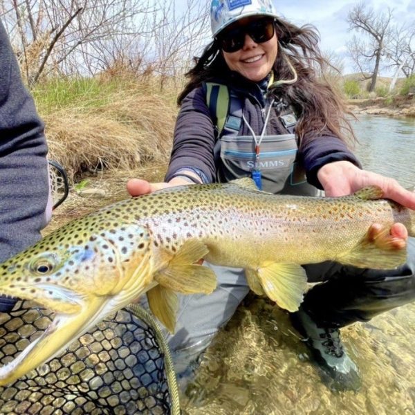 A lady holding a large brown trout. She is the current big fish leader for 2025