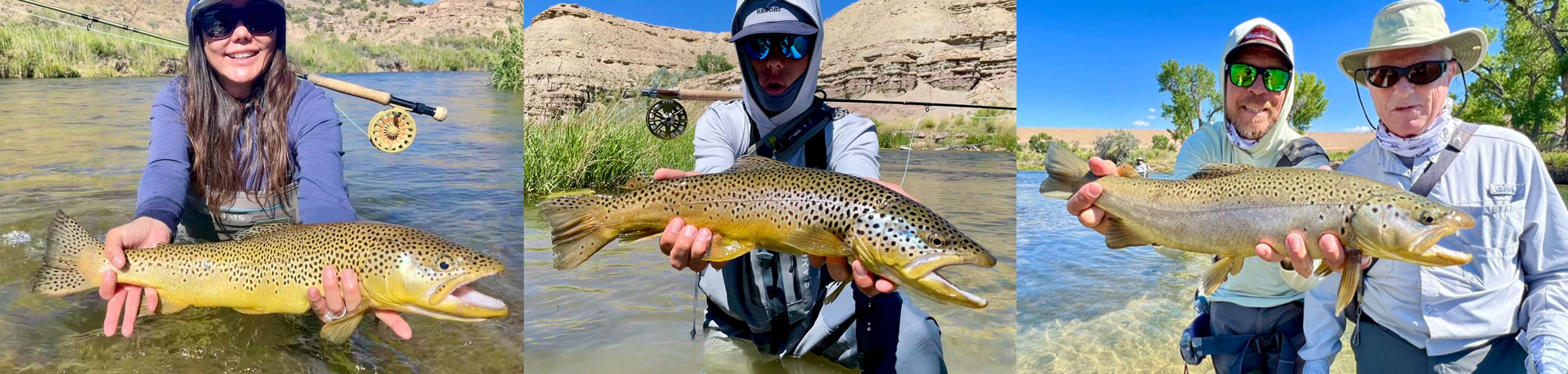 Big trout caught on my small stream guided fly fishing trip.