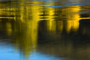 Fall reflections on the Provo River Utah. Utah Fly Fishing Photography By Jeremy Allan.