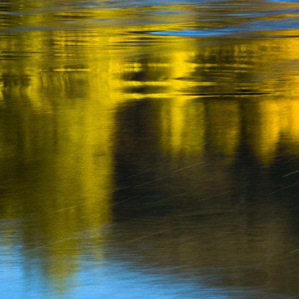 Fall reflections on the Provo River Utah. Utah Fly Fishing Photography By Jeremy Allan.