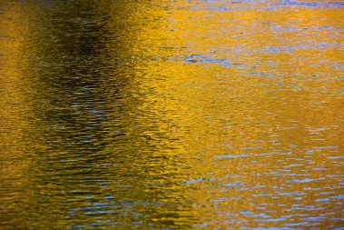 Fall reflections on the Provo River Utah. Fine art prints By Jeremy Allan.