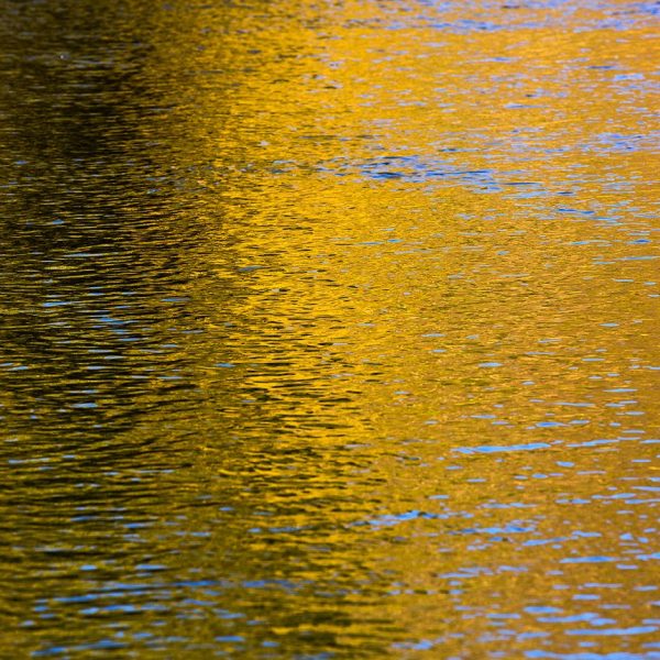 Fall reflections on the Provo River Utah. Fine art prints By Jeremy Allan.
