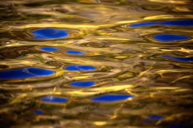 Fall reflections on the Provo River Utah. Utah Fly Fishing Photography By Jeremy Allan.