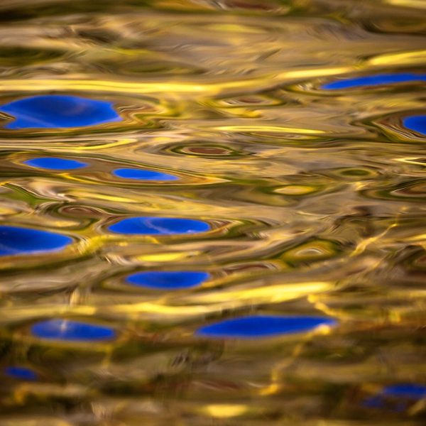 Fall reflections on the Provo River Utah. Utah Fly Fishing Photography By Jeremy Allan.