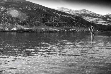 Dry fly casting on the Provo River. Utah fly fishing photography by Jeremy Allan.