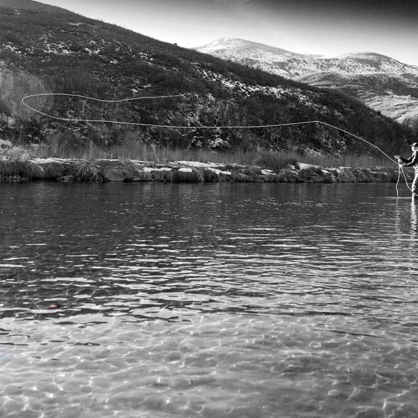 Dry fly casting on the Provo River. Utah fly fishing photography by Jeremy Allan.